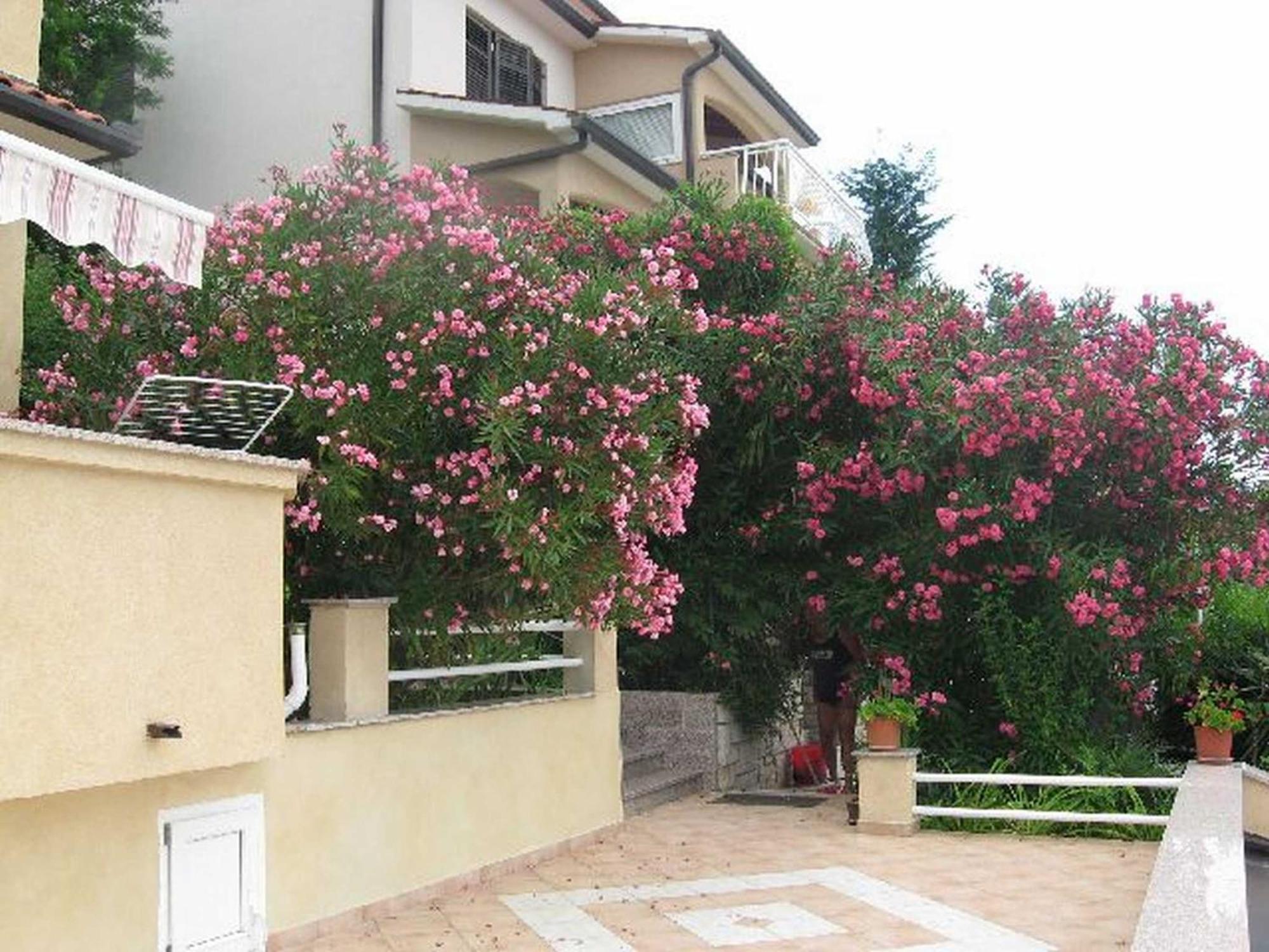 Apartments Silmare Rabac Esterno foto