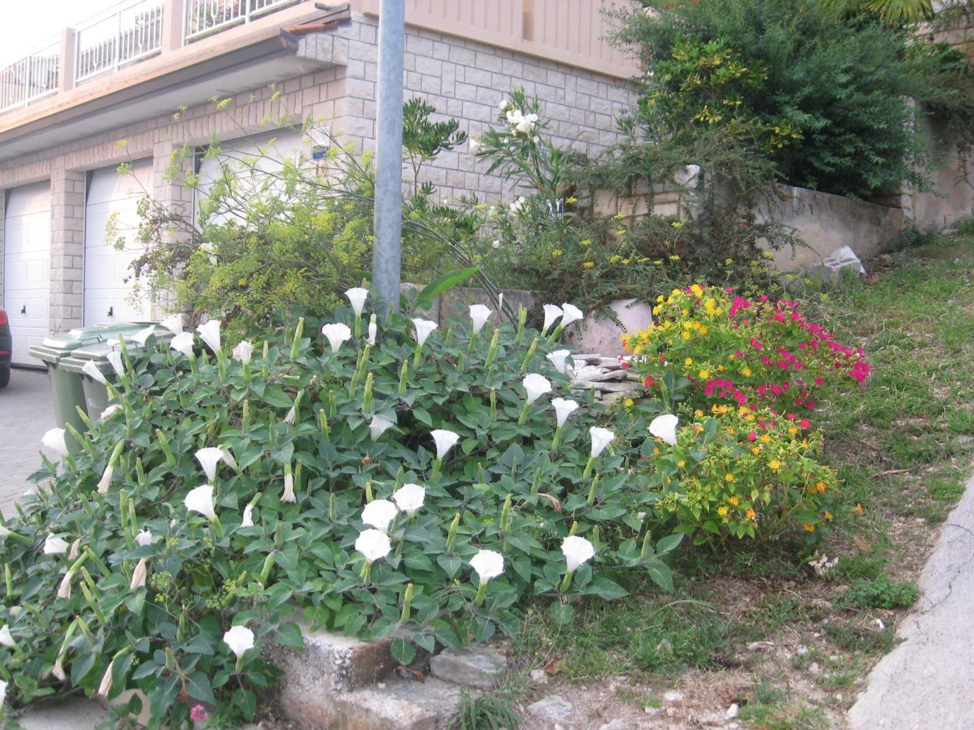 Apartments Silmare Rabac Camera foto